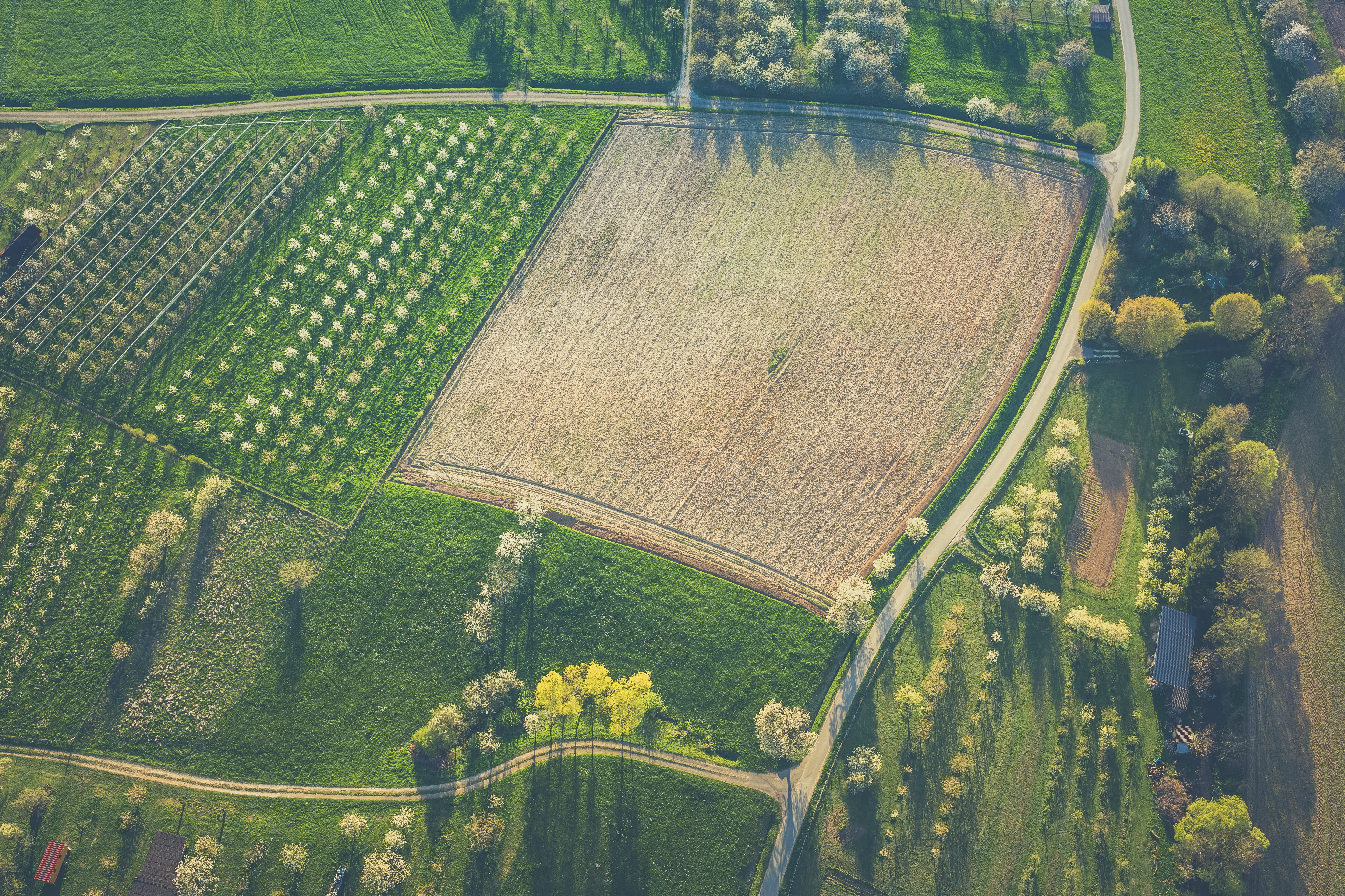 bird's eye view of field